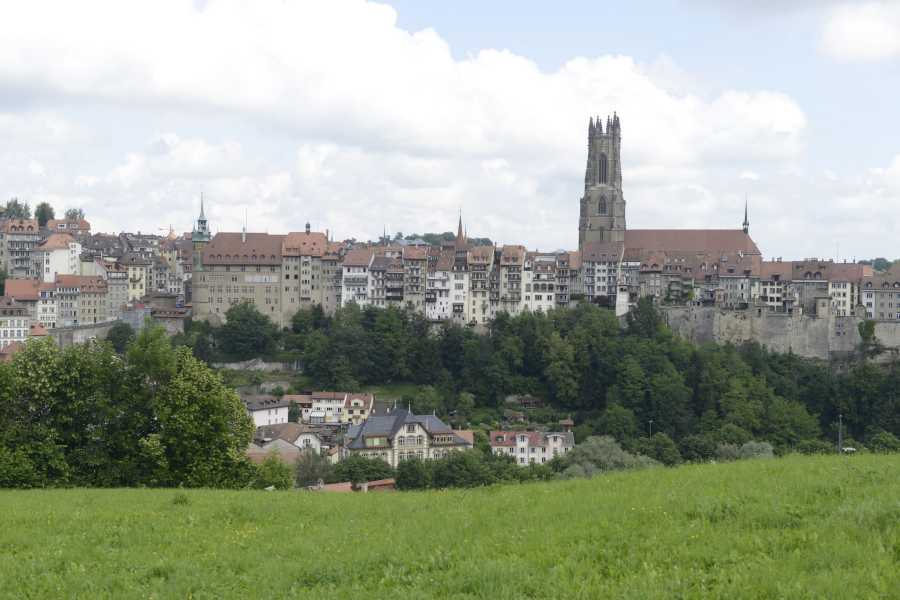 Enlarged view: Urban Golf in Fribourg - Picture 4